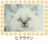 ヒマラヤン