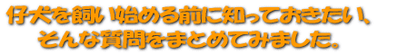 �Ƹ�������Ϥ�������ΤäƤ��������� ����ʼ����ޤȤ�Ƥߤޤ����� 