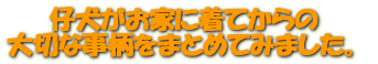 �Ƹ������Ȥ���Ƥ���� ���ڤʻ�����ޤȤ�Ƥߤޤ�����