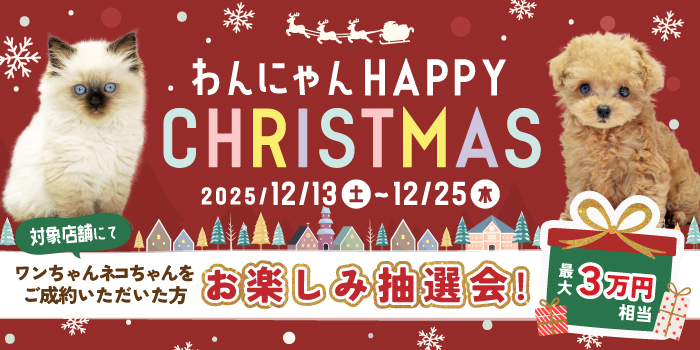 �ϥåԡ����ꥹ�ޥ�