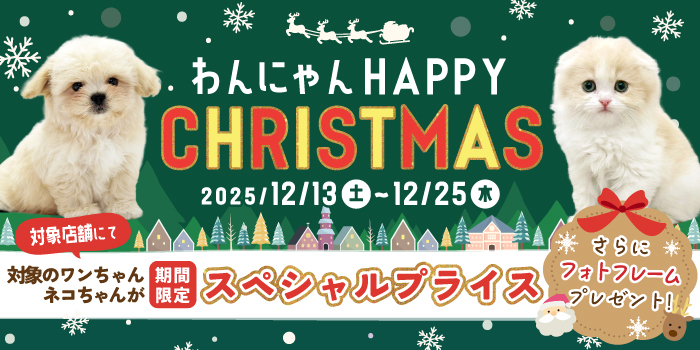 �ϥåԡ����ꥹ�ޥ�������