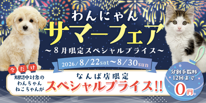 �ʤ�Х��ޡ��ե���