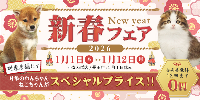 ���եե���