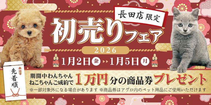 Ĺ�Ľ����ե���