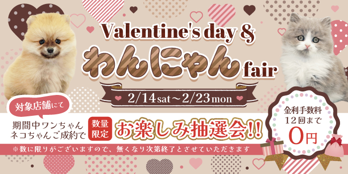 �Х�󥿥���ե���