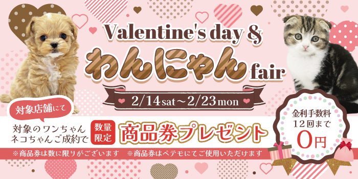 �Х�󥿥���ե���