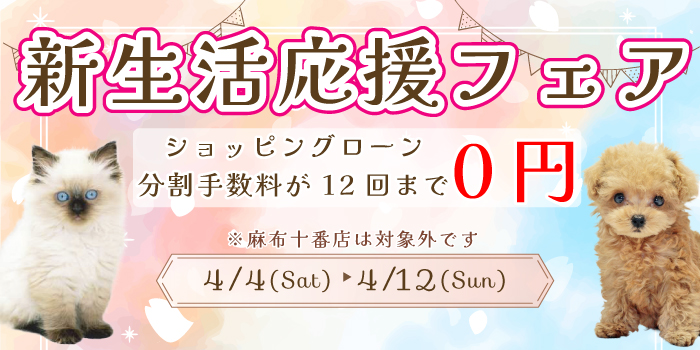 ���������ե���