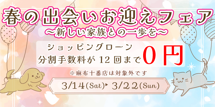 ���ޤ��ե���