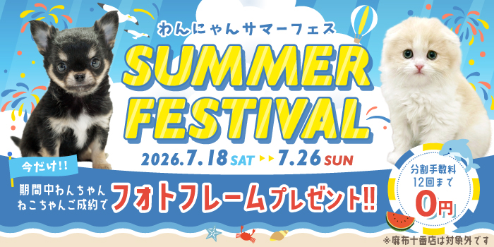���ˤ�󥵥ޡ��ե���