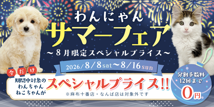 ���ˤ�󥵥ޡ��ե���