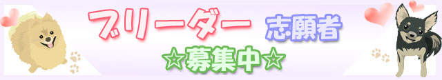 ֥꡼ִ罸