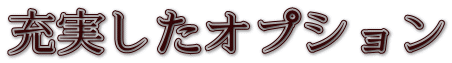 充実したオプション