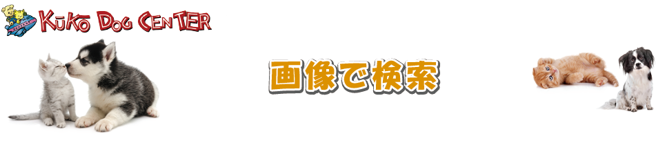 �����������奢��
