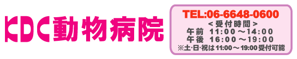 KDCưʪ±