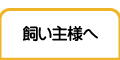 ͤ