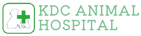 KDC動物病院