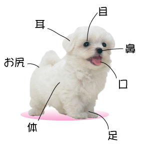 健康管理・健康診断
