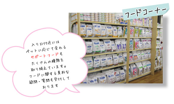 フードコーナー