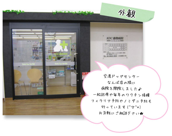 外観