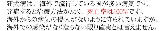 狂犬病について