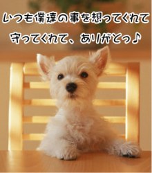 いつも僕達の事を想ってくれて、守ってくれて、ありがとっ♪