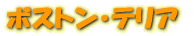 ܥȥ󡦥ƥꥢ