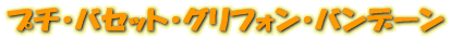ץХåȡե󡦥Хǡ
