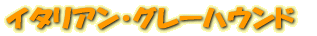 ꥢ󡦥졼ϥ