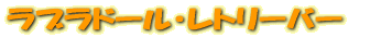 ֥ɡ롦ȥ꡼С