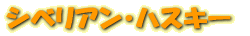 ٥ꥢ󡦥ϥ