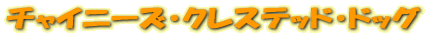 㥤ˡ쥹ƥåɡɥå