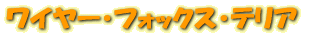 磻䡼եåƥꥢ