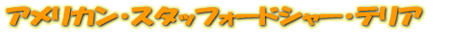 ����ꥫ�󡦥����åե����ɥ��㡼���ƥꥢ