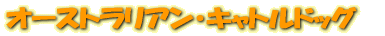 ȥꥢ󡦥ȥɥå
