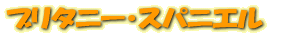 �֥꥿�ˡ������ѥ˥���
