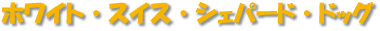 �ۥ磻�ȡ��������������ѡ��ɡ��ɥå�