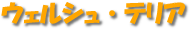 �����륷�塦�ƥꥢ