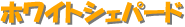 �ۥ磻�ȥ����ѡ���