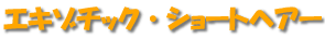 å硼ȥإ
