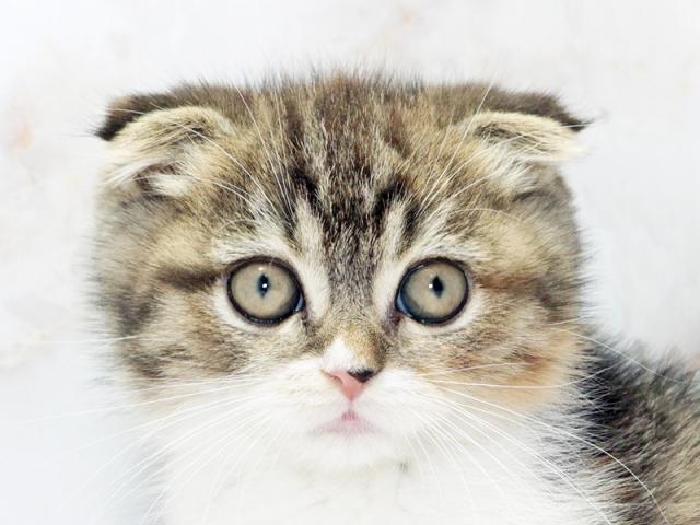 クリックすると詳細データが見られます。