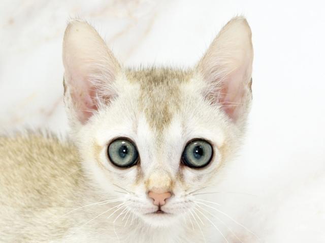 クリックすると詳細データが見られます。