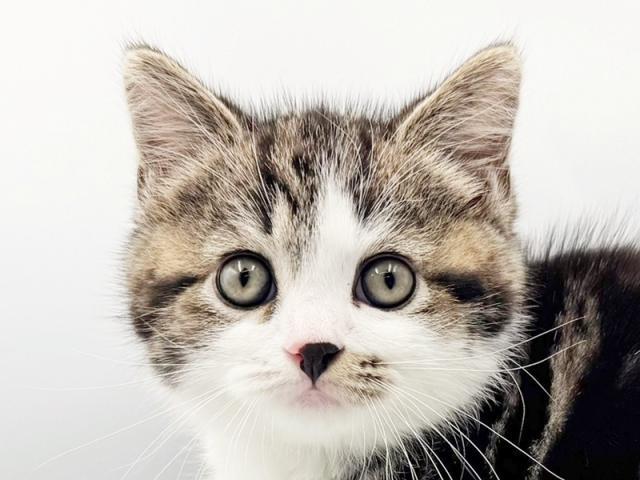 クリックすると詳細データが見られます。