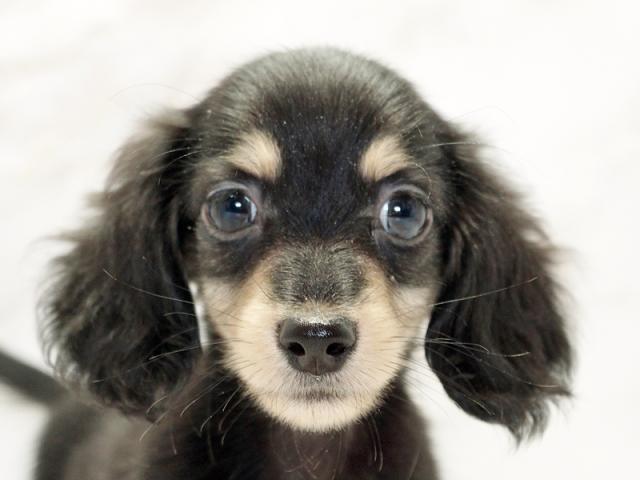 クリックすると詳細データが見られます。