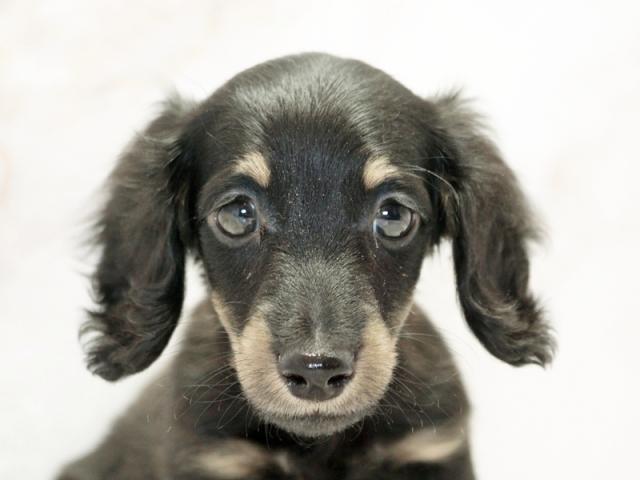 クリックすると詳細データが見られます。