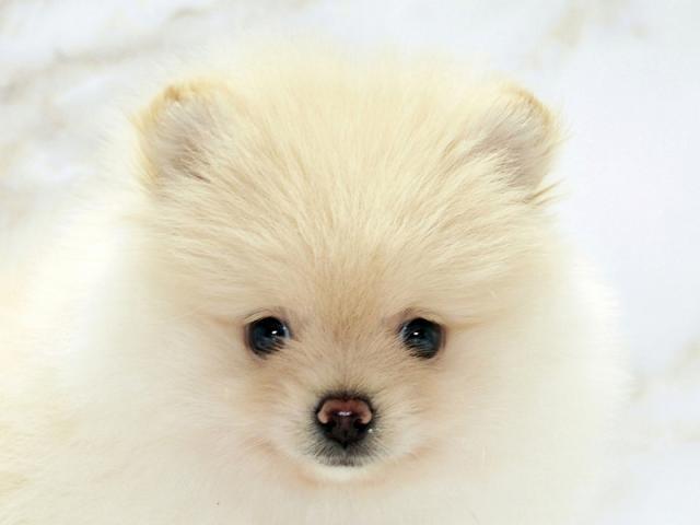 クリックすると詳細データが見られます。