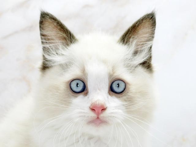 クリックすると詳細データが見られます。