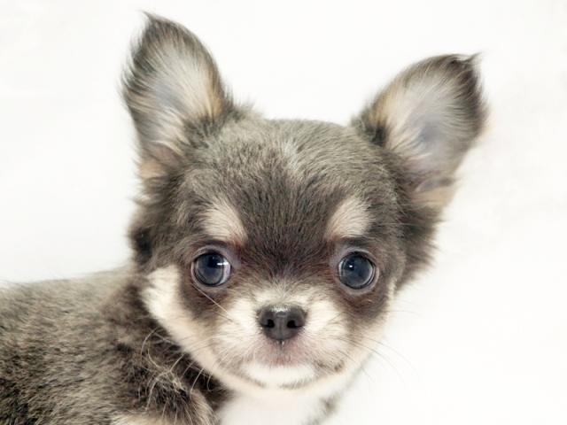 クリックすると詳細データが見られます。