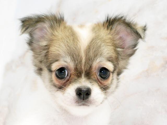 クリックすると詳細データが見られます。