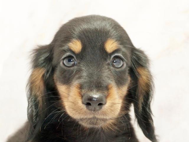 クリックすると詳細データが見られます。