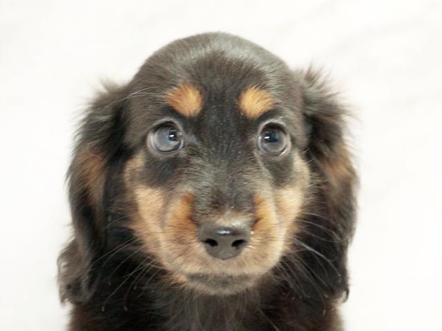 クリックすると詳細データが見られます。